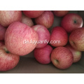 Frischer Qinguan-Apfel mit Streifenfarbe